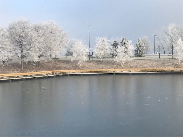Frosty morning
